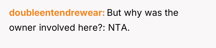 doubleentendrewear But why was the owner involved here?: NTA.