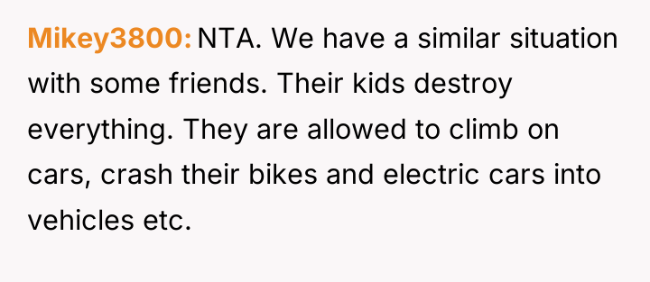 Mikey3800 NTA. We have a similar situation with some friends....