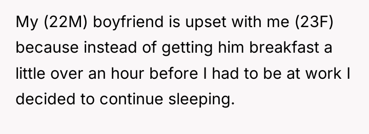 My (22M) boyfriend is upset with me (23F) because instead...