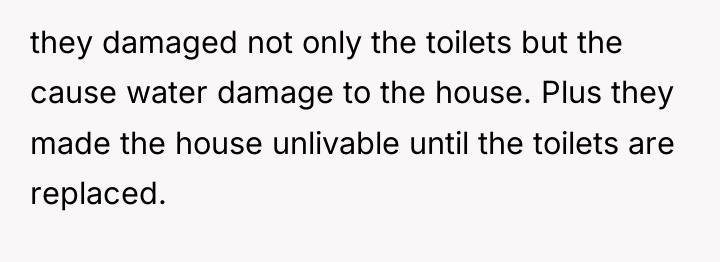they damaged not only the toilets but the cause water...