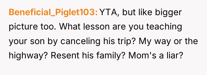 Beneficial_Piglet103 YTA, but like bigger picture too. What lesson are...
