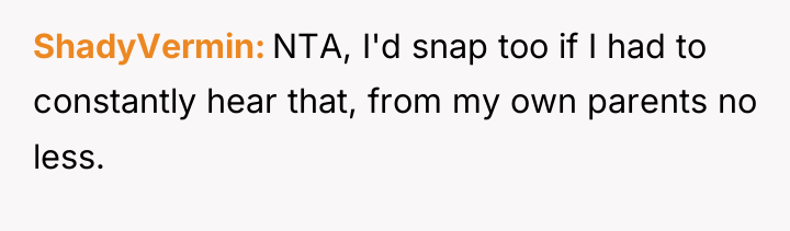 ShadyVermin NTA, I'd snap too if I had to constantly...