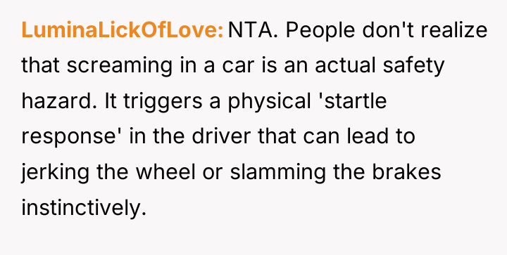 LuminaLickOfLove NTA. People don't realize that screaming in a car...