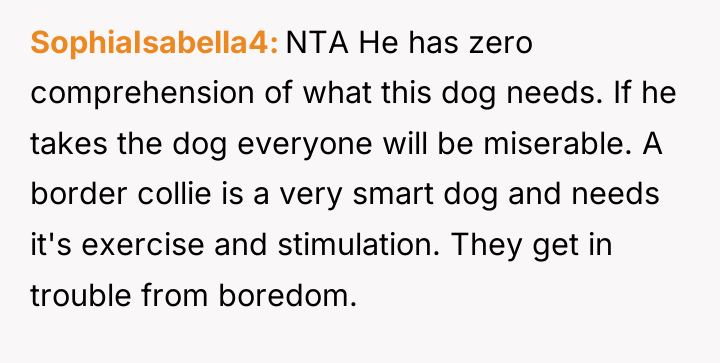 SophiaIsabella4 NTA He has zero comprehension of what this dog...