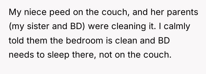 My niece peed on the couch, and her parents (my...