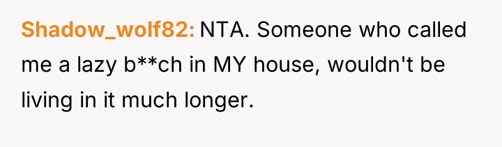 Shadow_wolf82 NTA. Someone who called me a lazy b**ch in...