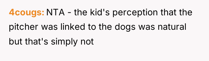 4cougs NTA - the kid's perception that the pitcher was...