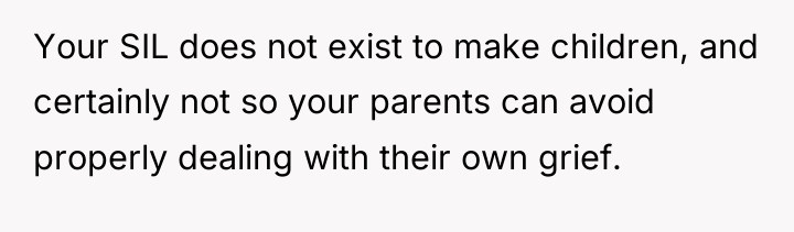 Your SIL does not exist to make children, and certainly...
