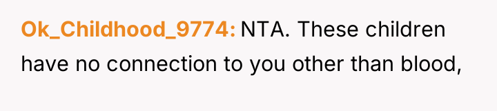 Ok_Childhood_9774 NTA. These children have no connection to you other...