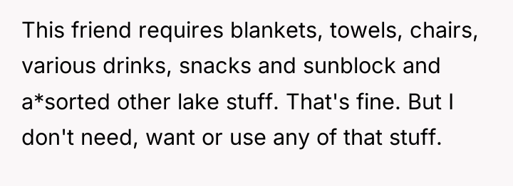 This friend requires blankets, towels, chairs, various drinks, snacks and...