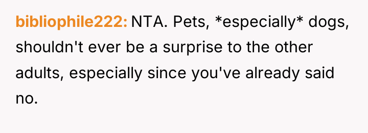 bibliophile222 NTA. Pets, *especially* dogs, shouldn't ever be a surprise...