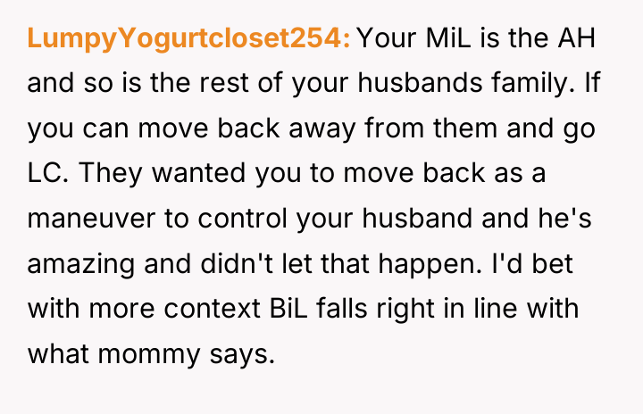 LumpyYogurtcloset254 Your MiL is the AH and so is the...