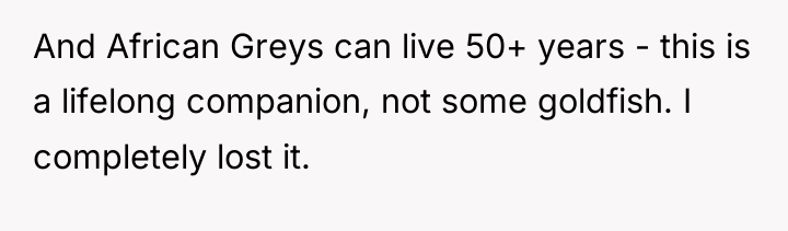 And African Greys can live 50+ years - this is...