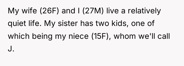 My wife (26F) and I (27M) live a relatively quiet...