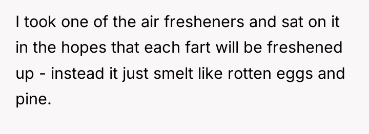 I took one of the air fresheners and sat on...