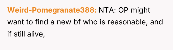 Weird-Pomegranate388 NTA: OP might want to find a new bf...