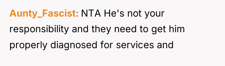 Aunty_Fascist NTA He's not your responsibility and they need to...