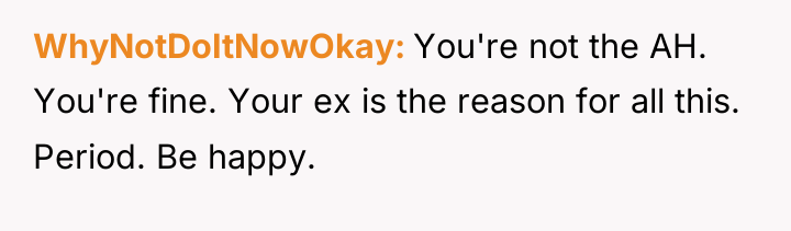 WhyNotDoItNowOkay You're not the AH. You're fine. Your ex is...