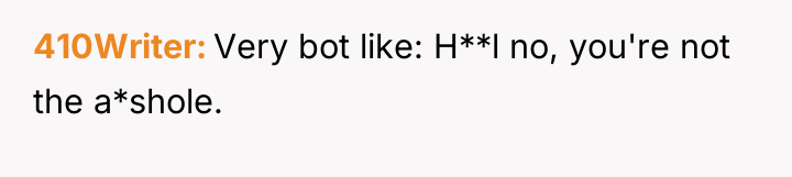 410Writer Very bot like: H**l no, you're not the a*shole.