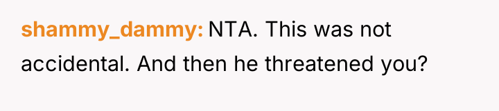 shammy_dammy NTA. This was not accidental. And then he threatened...