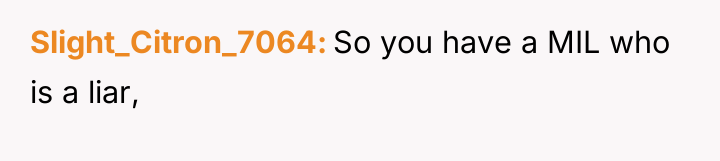 Slight_Citron_7064 So you have a MIL who is a liar,