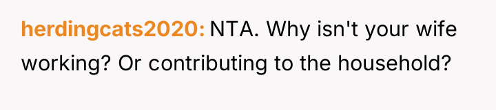 herdingcats2020 NTA. Why isn't your wife working? Or contributing to...