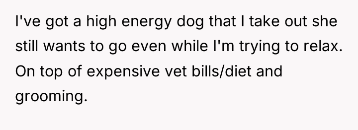 I've got a high energy dog that I take out...