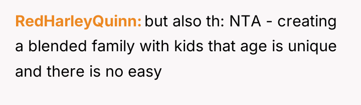 RedHarleyQuinn but also th: NTA - creating a blended family...