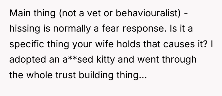 Main thing (not a vet or behaviouralist) - hissing is...