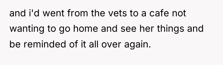 and i'd went from the vets to a cafe not...