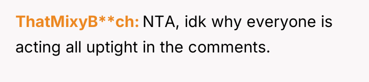 ThatMixyB**ch NTA, idk why everyone is acting all uptight in...