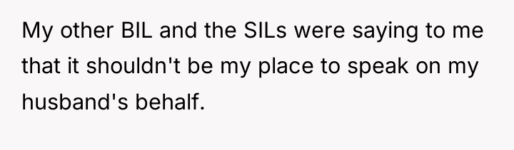 My other BIL and the SILs were saying to me...
