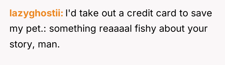 lazyghostii I'd take out a credit card to save my...