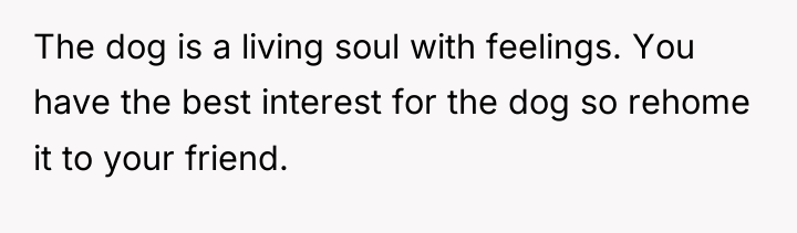 The dog is a living soul with feelings. You have...