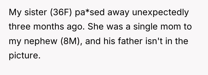 My sister (36F) pa*sed away unexpectedly three months ago. She...