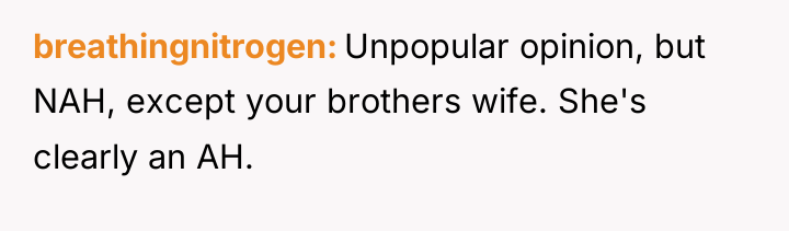 breathingnitrogen Unpopular opinion, but NAH, except your brothers wife. She's...