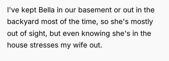 I've kept Bella in our basement or out in the...