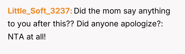 Little_Soft_3237 Did the mom say anything to you after this??...