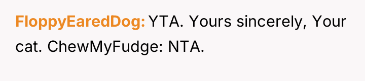 FloppyEaredDog YTA. Yours sincerely, Your cat. ChewMyFudge: NTA.