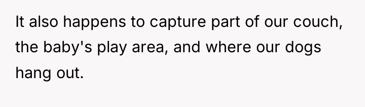 It also happens to capture part of our couch, the...