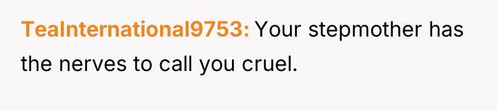 TeaInternational9753 Your stepmother has the nerves to call you cruel.