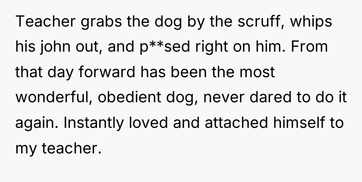 Teacher grabs the dog by the scruff, whips his john...