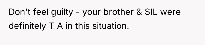 Don't feel guilty - your brother & SIL were definitely...