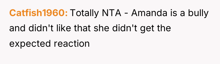 Catfish1960 Totally NTA - Amanda is a bully and didn't...