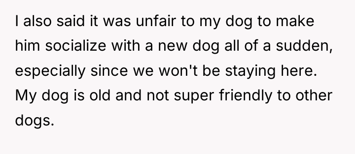I also said it was unfair to my dog to...