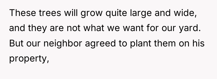 These trees will grow quite large and wide, and they...