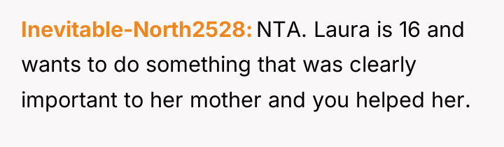 Inevitable-North2528 NTA. Laura is 16 and wants to do something...