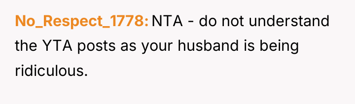 No_Respect_1778 NTA - do not understand the YTA posts as...