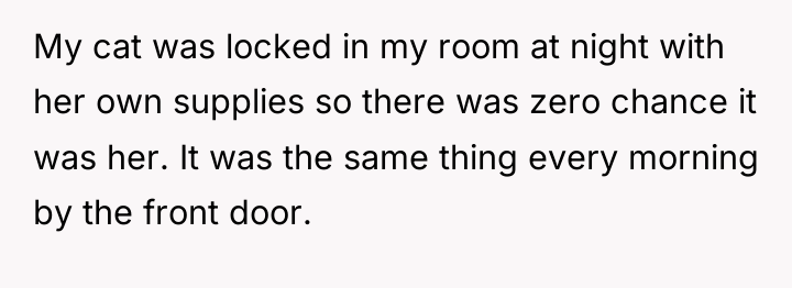 My cat was locked in my room at night with...