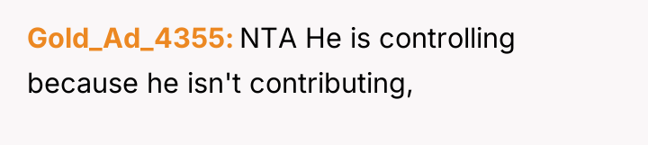 Gold_Ad_4355 NTA He is controlling because he isn't contributing,